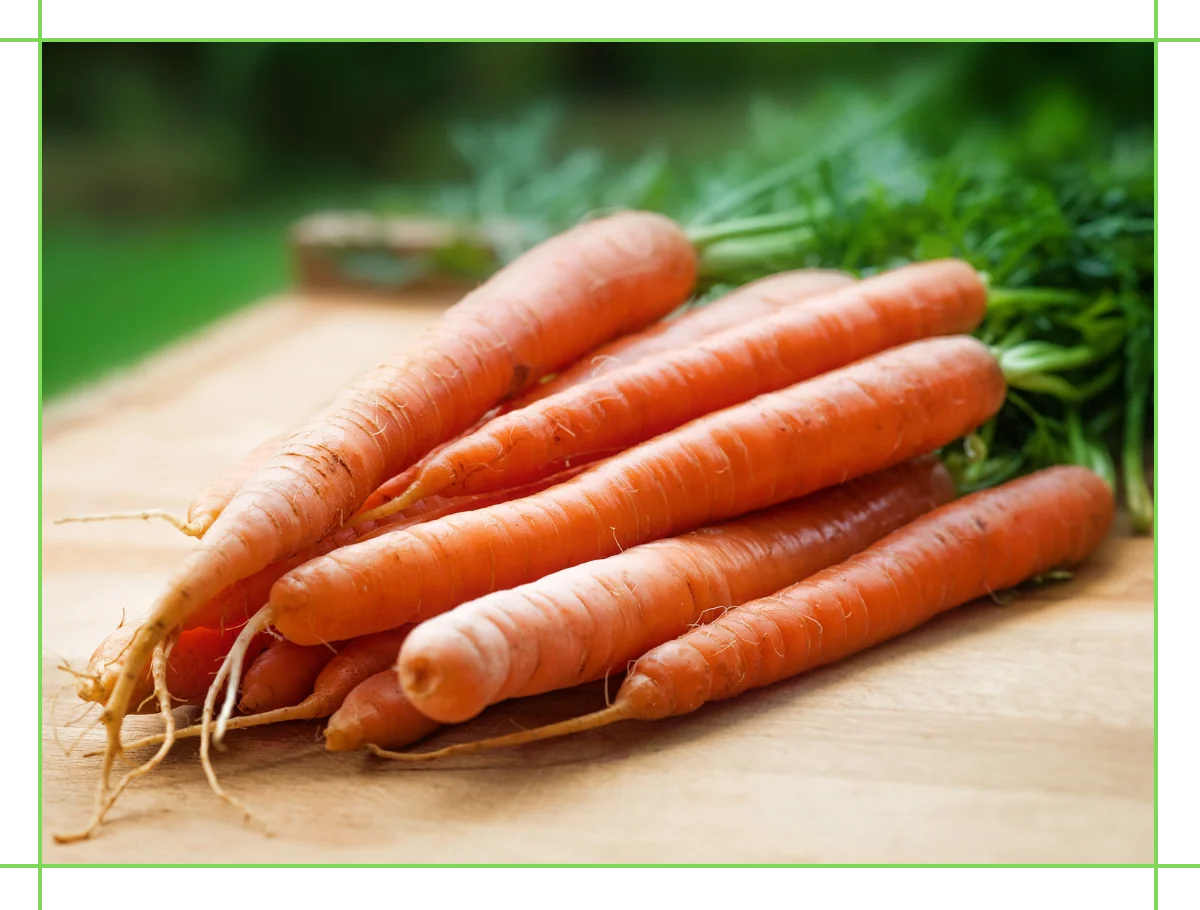 La carota